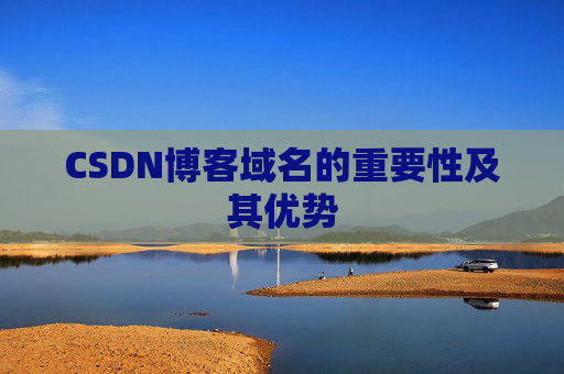 CSDN博客域名的重要性及其优势